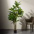 Mossy Marvel Sanctuary  Artificial Plant - Big (Natural Feel)